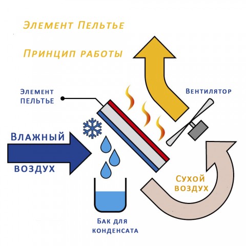 Осушители воздуха Осушитель воздуха Trotec TTP 5 E