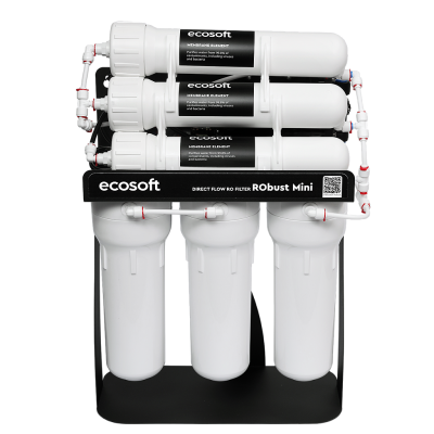 Фільтр зворотного осмосу Ecosoft RObust Mini