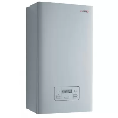 Газовий котел Protherm Panther 25 KTV